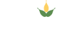 Ava Botanics